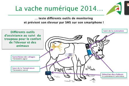 Des paysans de plus en plus "mobiles"