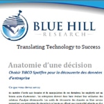 Livre Blanc Blue Hill Research sur Tibco Spotfire