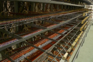 30 000 lignes abonnés arrivent sur le répartiteur cuivre du NOC d'Hub One