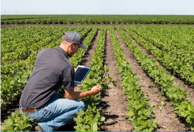 Agriculture : des hommes et des champs connectés