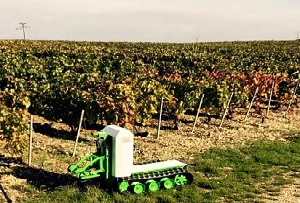 Bob, un robot à chenilles pour le désherbage et le travail du sol, est l’un des cinq « Prix à l’innovation » du VITeff 2017, le salon international des technologies des vins effervescents. ©Naïo Technologies
