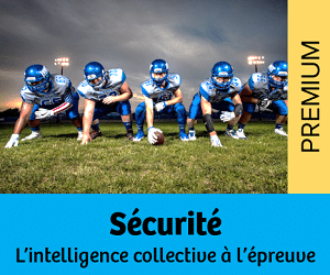 dossier sécurité  - intelligence collective
