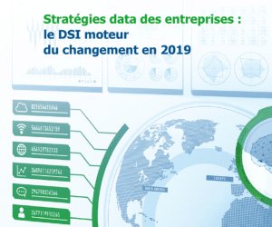 Guide Stratégies Data 2019