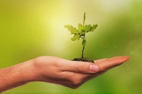 14 incubateurs/accélérateurs d’un nouveau genre