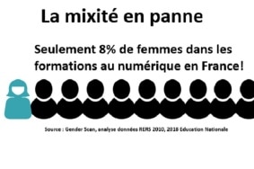 mixité numérique