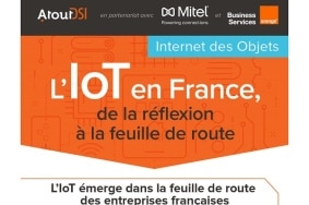 évolution de l'IoT dans les entreprises françaises