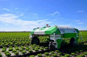 Dino, le robot désherbant de Naïo Technologies