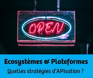 Ecosystèmes & Plateformes : Quelles stratégies d’APIsation pour les entreprises ?