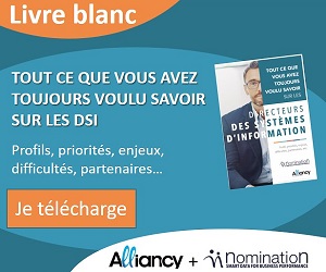 Nomination livre blanc dsi