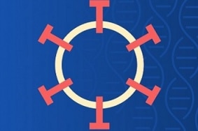 Data et IA : autres enjeux du Covid-19