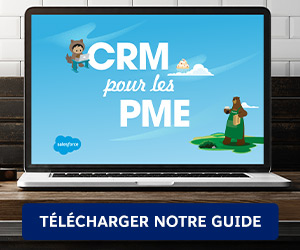 CRM POUR pme