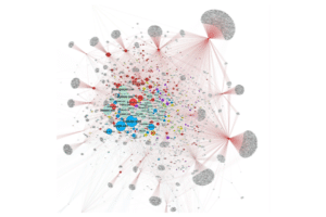 Le professeur à l'université de Columbia Jonathan Albright a utilisé des outils de data visualisation pour montrer comment se diffusent les fakes news. Il a analysé plus de 80 000 hyperliens propagés pendant les élections américaines de 2016 par 117 sites internet complotistes.