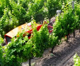 Agreenculture utilise un robot connecté pour entretenir les vignes.