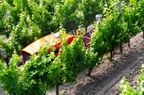 Agreenculture utilise un robot connecté pour entretenir les vignes.