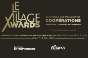 Village Awards 5e edition